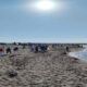 Volontari dell'associazione Il Cinghiale Bianco, insieme ai ragazzi del Cardarelli, nella giornata di ieri hanno pulito la spiaggia.