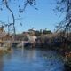 Murales sul Lungotevere