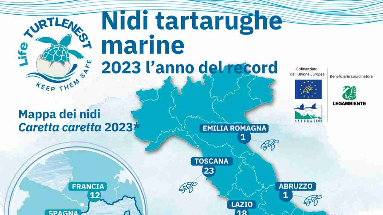 Nidi tartarughe marine