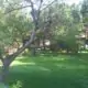 Parco degli Aromi a Colle Fiorito