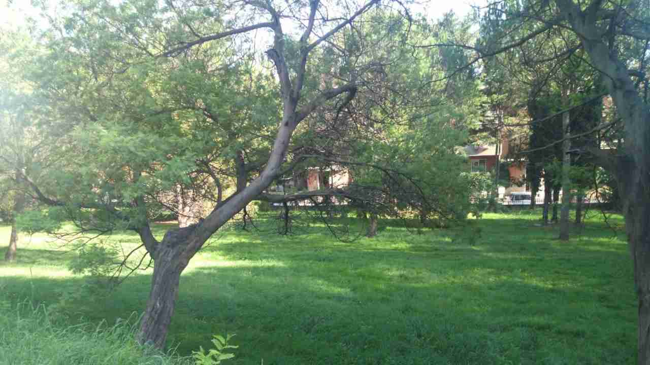 Parco degli Aromi a Colle Fiorito