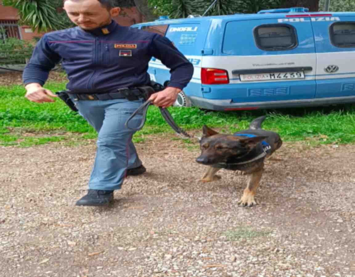 Il prossimo 16 settembre presso il parco di Villa Gordiani appuntamento con il Comitato Scientifico Persone Scomparse Odv.