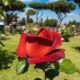Roseto a Roma