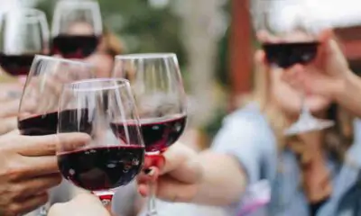 Vino