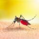 Il 29 settembre ad Anzio, verrà espletata la disinfestazione di alcune strade rispetto al proliferare della zanzara Dengue.