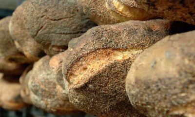 Il miglior pane di Roma