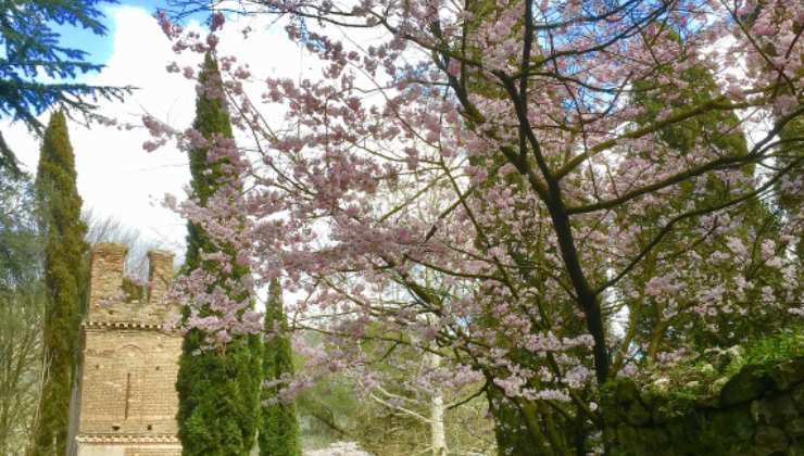 Giardini di Ninfa