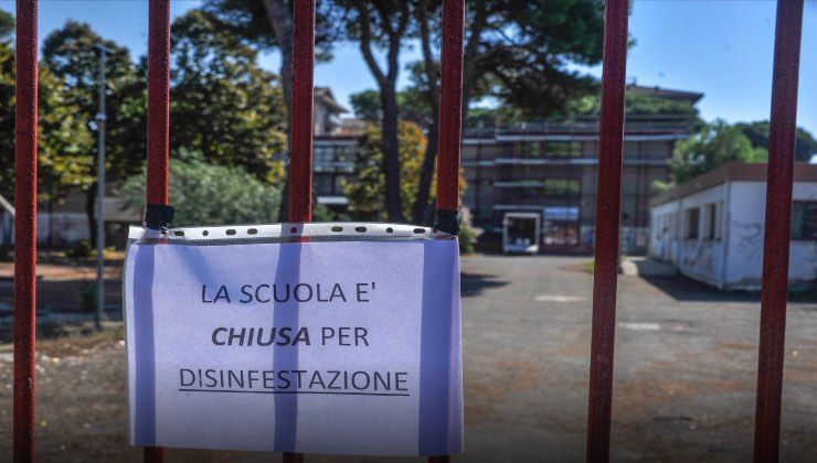 scuole chiuse per disinfestazione a Ostia 