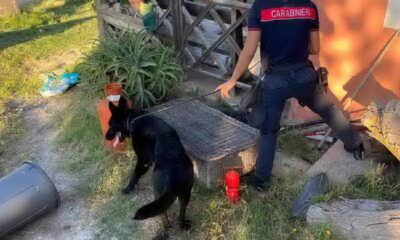 spaccio cerveteri 4 arresti