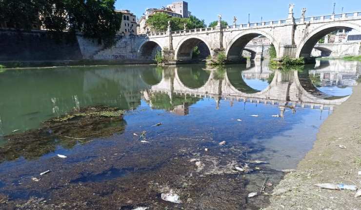 Tevere verde