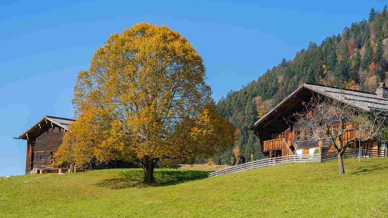 Agriturismi in provincia di Frosinone