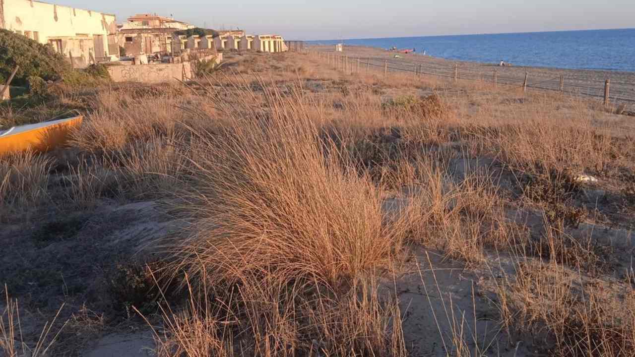 Habemus Dune torvaianica