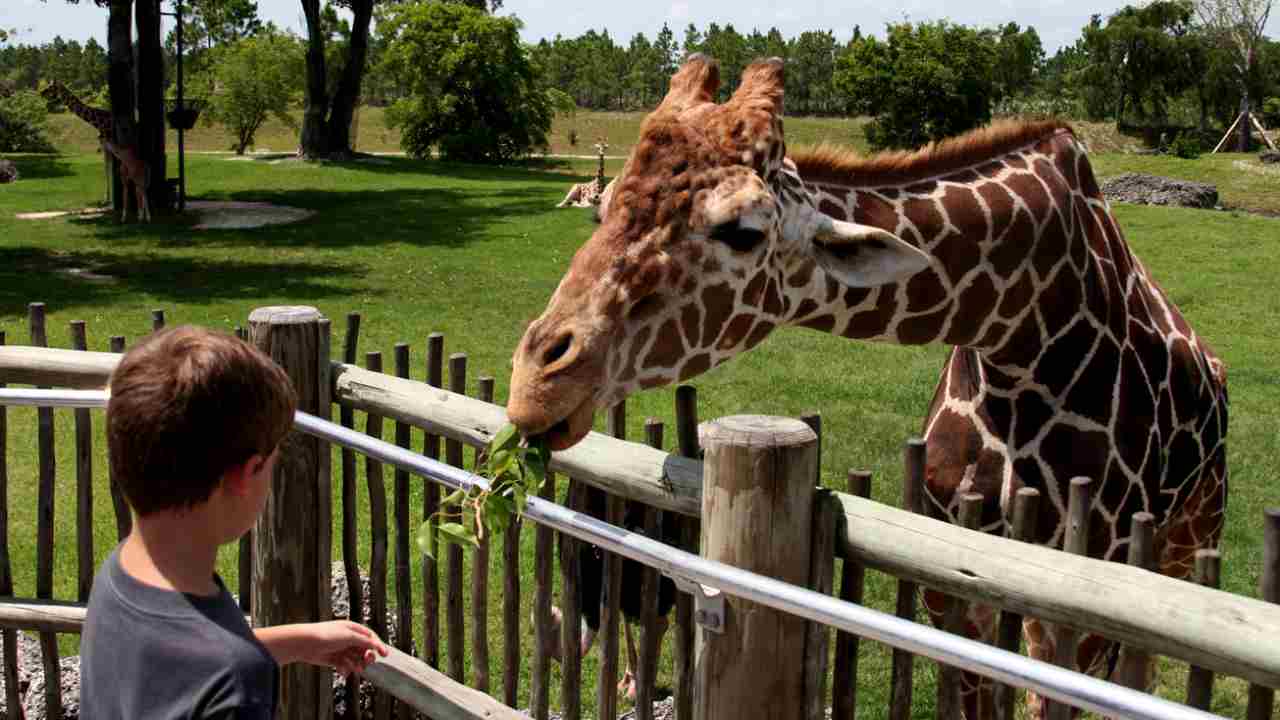 Bioparco di Roma assunzioni