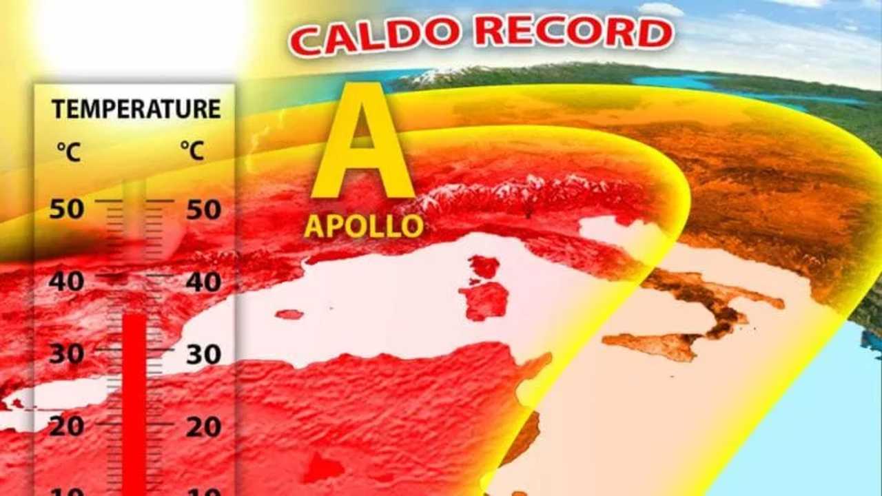 Caldo record ad ottobre. Le conseguenze positive e negative del rialzo anomalo delle temperature su flora e fauna.