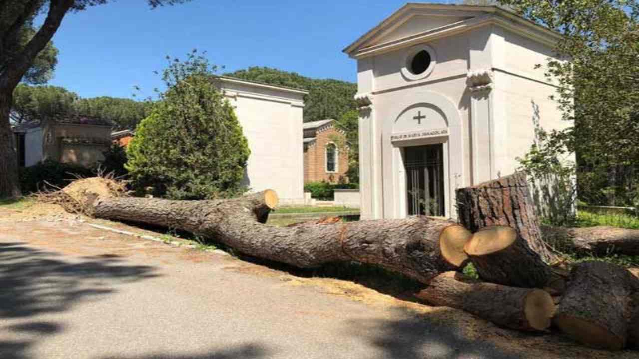 Ama lascia al degrado e all'abbandono il cimitero Flaminio, nonostante le centinaia di segnalazioni dei cittadini.