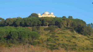 Abbiamo appurato, a seguito della caduta di pini presso la riserva di Monte Mario, insieme ad un esperto, la presenza di Cocciniglia.