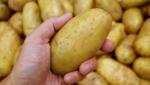 Festa patata filettino 2023