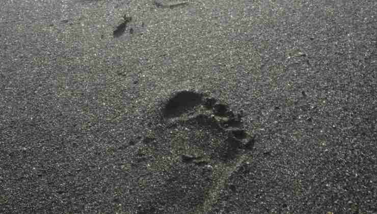Impronte su sabbia nera di Ladispoli