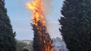 Incendio Villa Bonelli