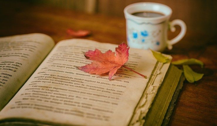 Librerie caffè di Roma