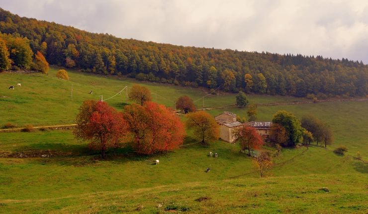 Monte San Biagio cosa vedere