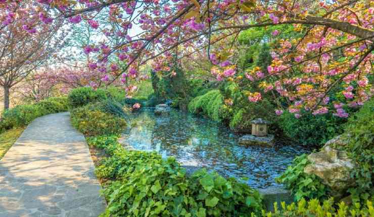 Orto botanico di Roma