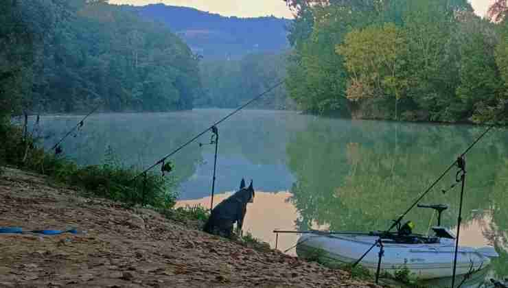 Pesca sul Tevere