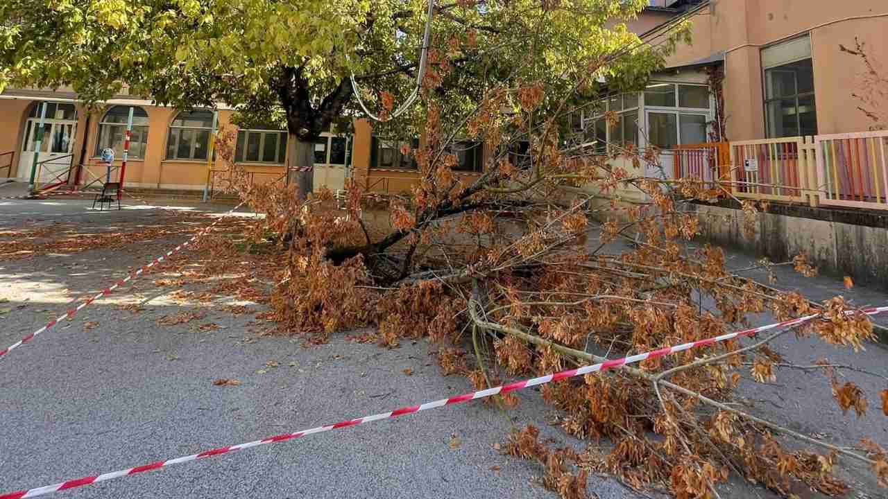 Rami crollati alla scuola di Roma IC Baccano