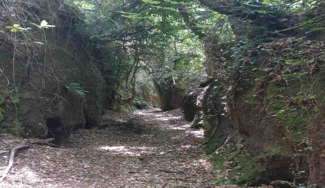 Rocca di Papa