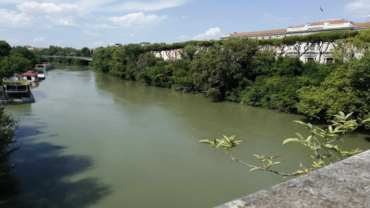 Perché il Tevere è verde