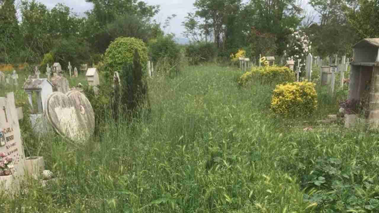 Tombe mangiate dall'erbaccia al Cimitero di Prima Porta