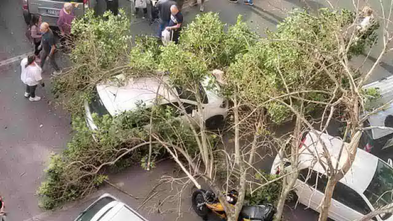 albero cade su auto in transito marconi