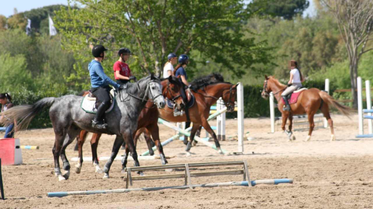 passeggiata a cavallo roma