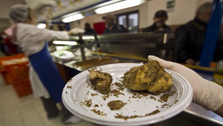 tartufo bianco