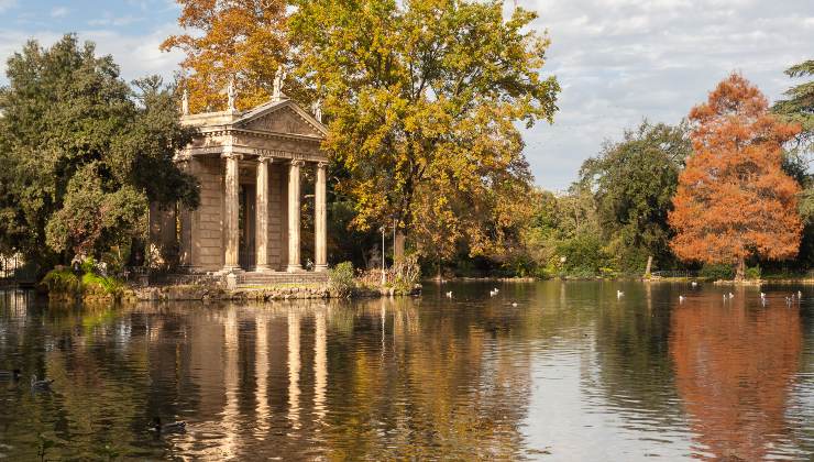 Foliage Roma