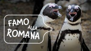 Bioparco Roma Famo Alla Romana