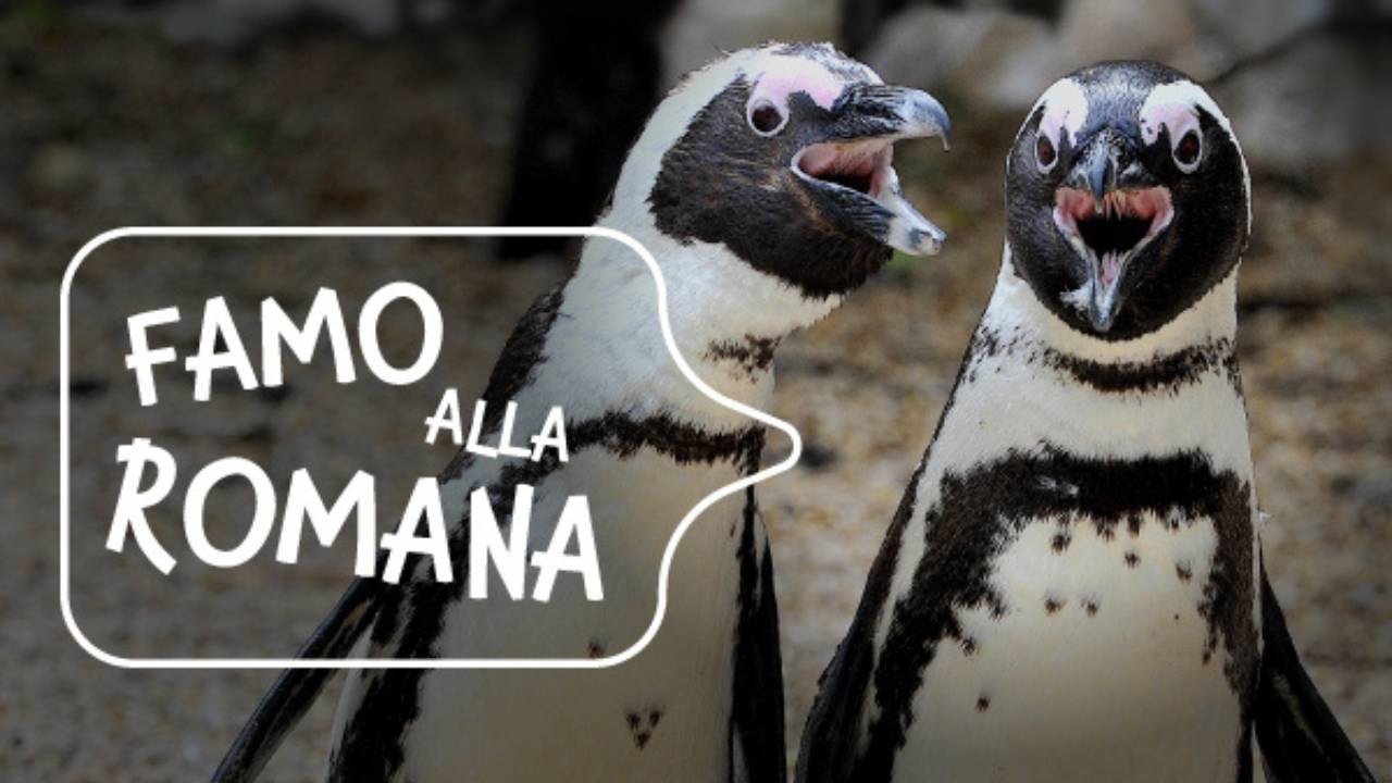 Bioparco Roma Famo Alla Romana