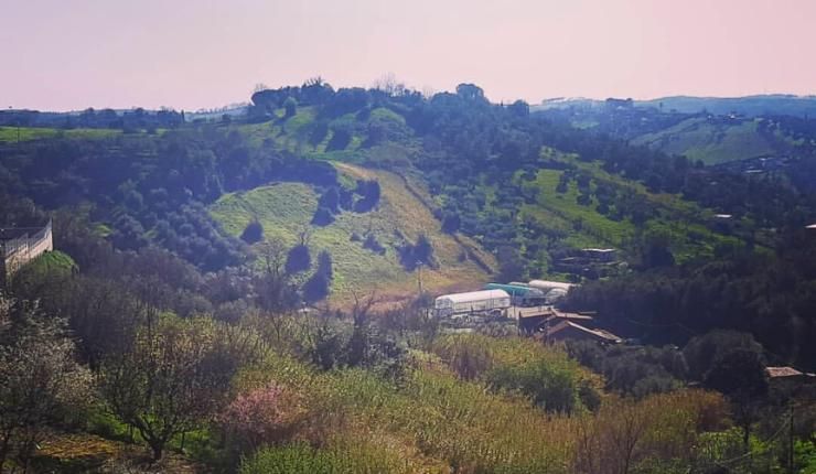 Campagna di Monterotondo