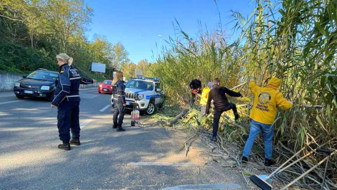 Ministri Volontari e Polizia Locale rimuove albero a Casalotti a Roma