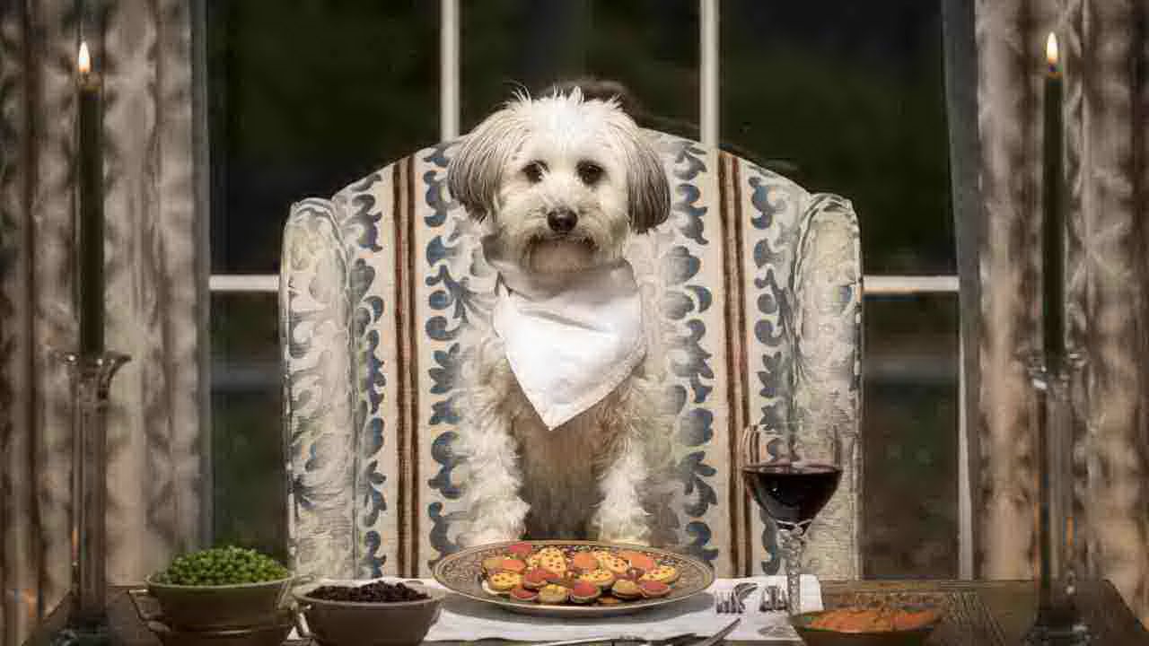 ristorante per cani a roma