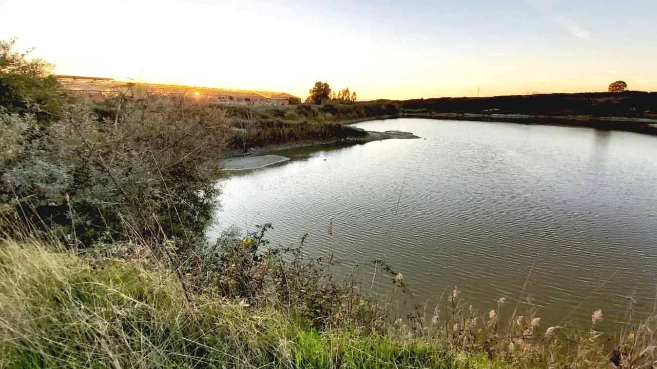 monumento naturale torvaianica