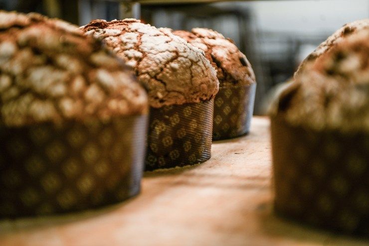 panettone