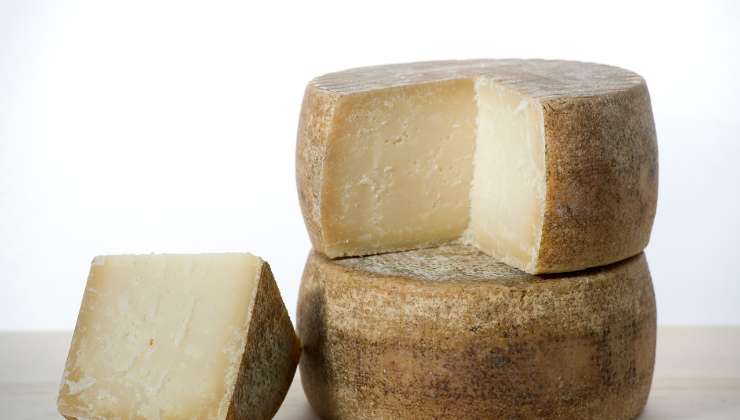 pecorino