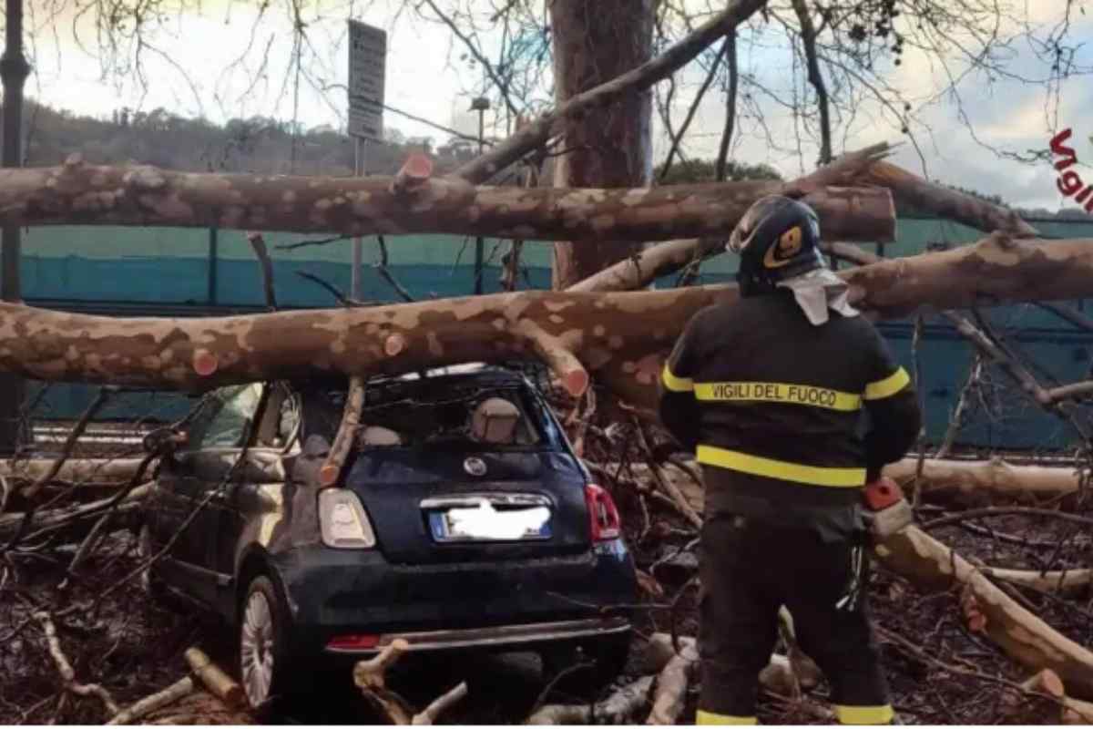 Albero caduto nel centro storico di Roma