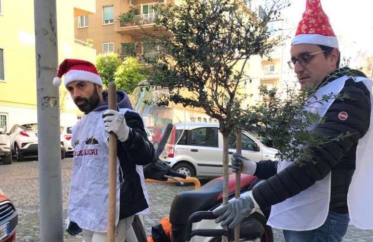 Albero sistemato al Nomentano
