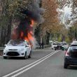 Furgone va in fiamme sulla via del Mare nel tratto del X Municipio