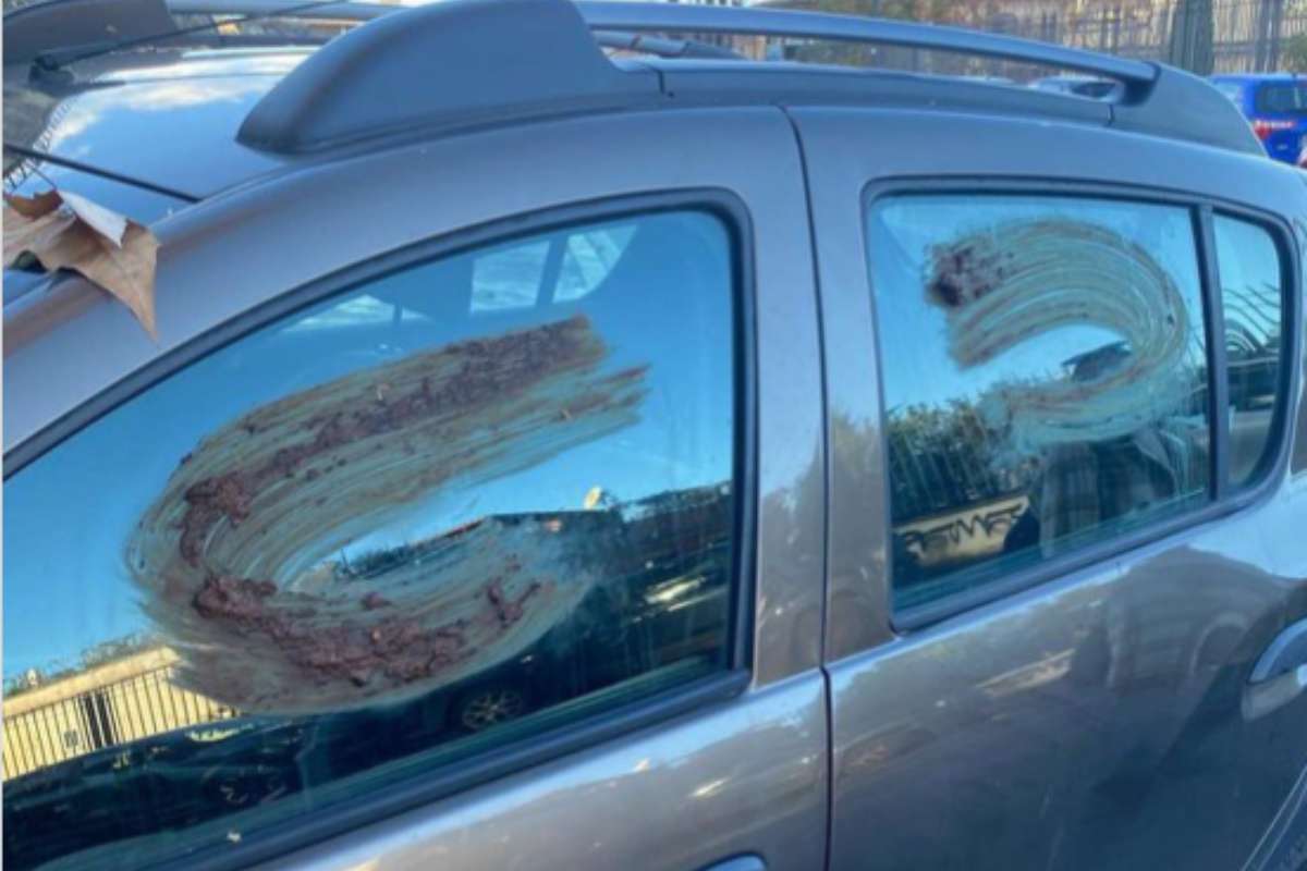 Macchina imbrattata di cacca a Trastevere
