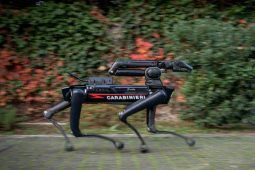 L'Arma dei carabinieri ha adottato Saetta, il primo cane robot per le missioni speciali - www.IlCorrieredellacittà.com