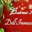 Festa dell'immacolata