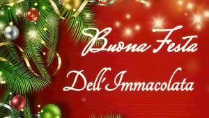 Festa dell'immacolata